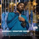 Kõlar Marshall Willen II 17H+