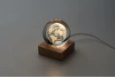 LED klaaskera Globe Light