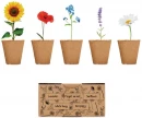 Lillede kasvatamise komplekt FLOWERS