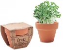 Lilleseemned Cress Pot