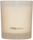 Lõhnaküünal Wellmark Echoes of Kindness 210 g