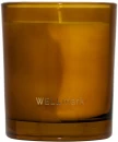 Lõhnaküünal Wellmark Quiet Rebellion 210 g