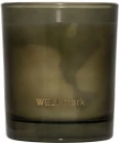 Lõhnaküünal Wellmark Tender Affection 210 g