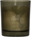 Lõhnaküünal Wellmark Tender Affection 210 g