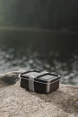 Lõunakarp VINGA Parks RCS