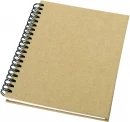 Mendel recycled notebook