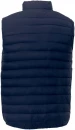 Meeste vest Pallas