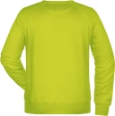 Men's classic sweatshirt with raglan sleeves