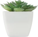 Mini kunsttaim potis Artieche