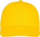 Ares 6 panel cap