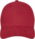 Davis-lippalakki, 6-paneelinen
