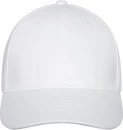 Davis-lippalakki, 6-paneelinen