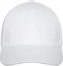 Davis-lippalakki, 6-paneelinen
