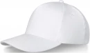 Doyle-lippalakki, 5-paneelinen