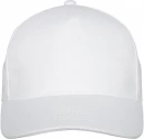 Doyle-lippalakki, 5-paneelinen