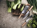 Nuga Hattasan Damascus Santoku