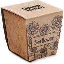 Päevalille komplekt Sunflower Kit