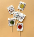 Pulgakomm Fruit mini 7g