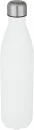 Roostevabast terasest pudel Cove 750ml