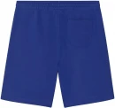 Unisex lühikesed püksid BOARDER DRY