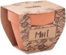 Ürdipott Mint Pot