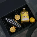 Virkistävä alkoholiton Limonzerro ja shaker