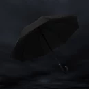 Vihmavari Swiss Peak Vero Aware™ RPET 25”