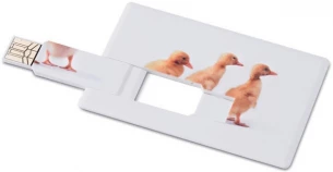 Luottokortti. USB-muistitikku 16GB MO1059-06