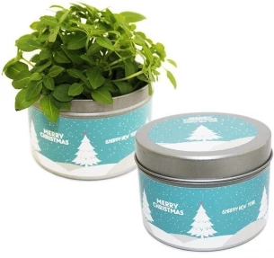 Grow kit metallist purgis