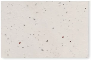 Metslillede seemnetega visiitkaart Asida