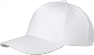 Doyle-lippalakki, 5-paneelinen