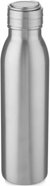 Harper 700 ml stainless steel water bottle with metal loop