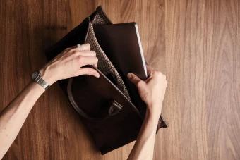 Arvutikott VINGA Hunton, pruun