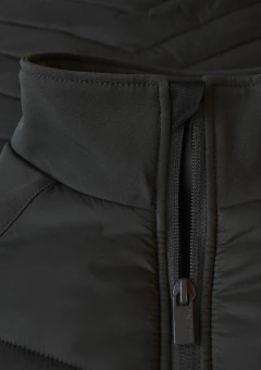 Bloomsdale Meeste Hübriidjope