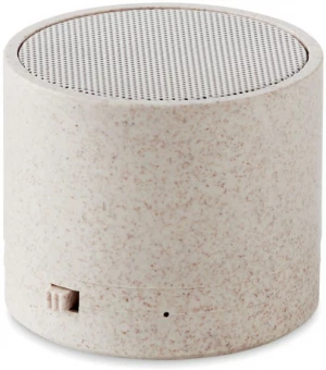 Bluetooth kõlarid