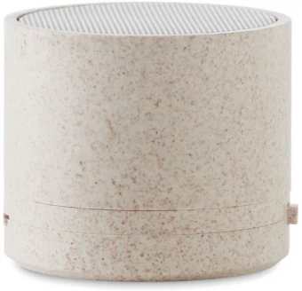 Bluetooth kõlarid