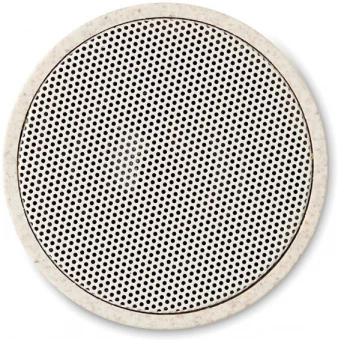 Bluetooth kõlarid