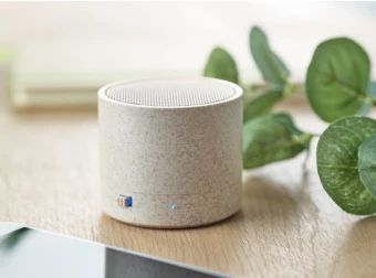Bluetooth kõlarid