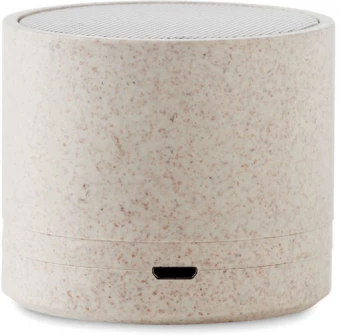 Bluetooth kõlarid