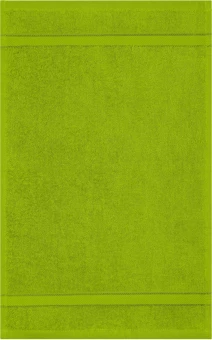 Diskreetse disainiga külalisterätik