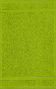 Diskreetse disainiga külalisterätik