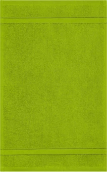 Diskreetse disainiga külalisterätik