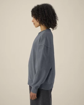 Unisex collegepaita Radder 2.0 Vintage