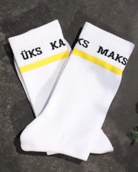 Erilahendusena spordisokid