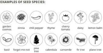 Grow kit metallist purgis