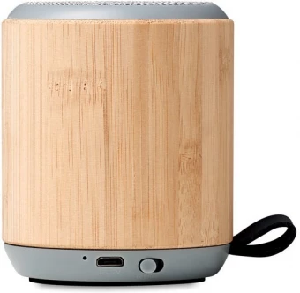 Juhtmevaba kõlar RUGLI