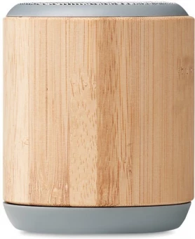 Juhtmevaba kõlar RUGLI