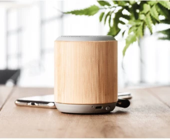 Juhtmevaba kõlar RUGLI