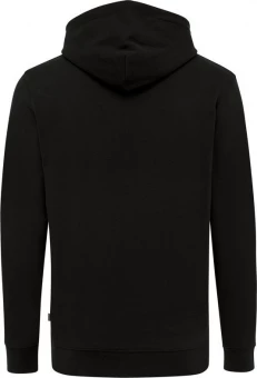 Kapuutsiga pusa Jasper