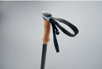 Kepikõnni kepid Nole